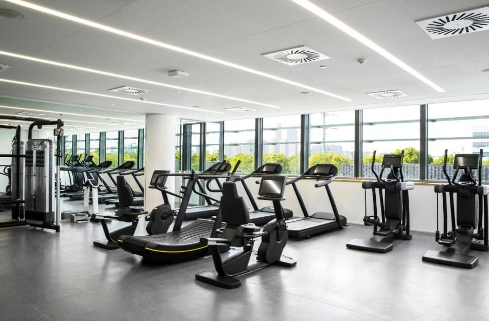 Top Gym Interior Ideas for Dubai Fitness Centers